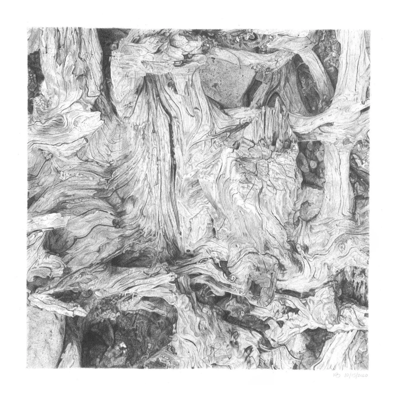 【タカミトモトシ直筆原画】デスカルト工房 デスコウ ダンボールアート スカル Driftwood 3 Colored Pencil Print on Fine Art Paper — KDB Art Studio